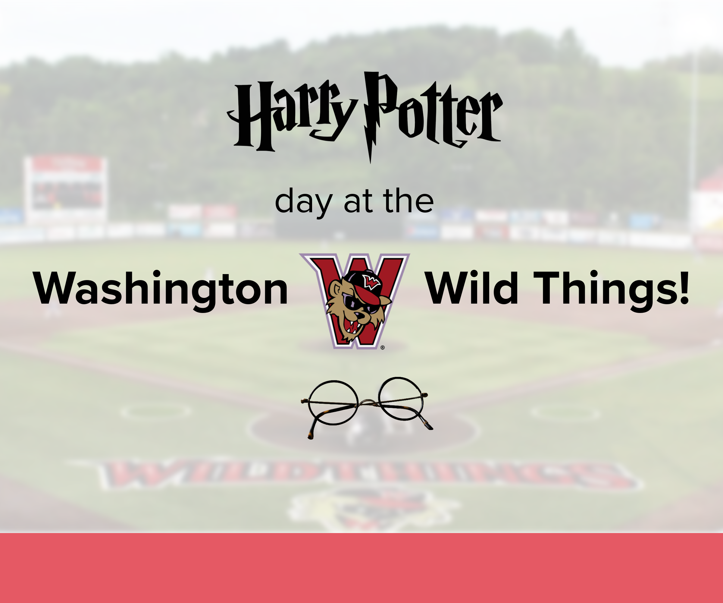 Harry Potter Day at the Washington Wildthings